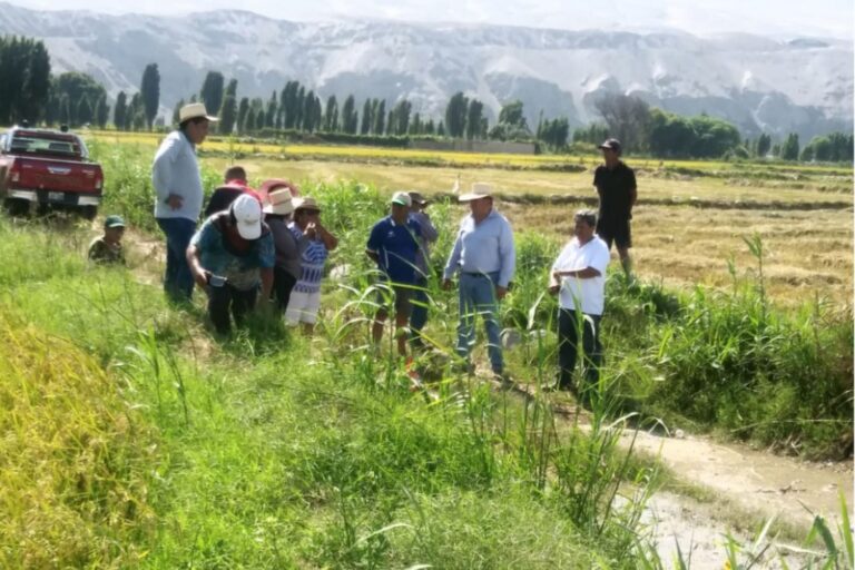 Piura: Dirección de Agricultura impulsa proyectos de inversión a favor de pequeños productores
