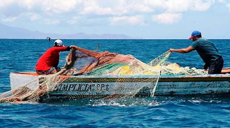 Piura: sectores de pesca y agricultura reportaron menores niveles de producción en el primer trimestre del año