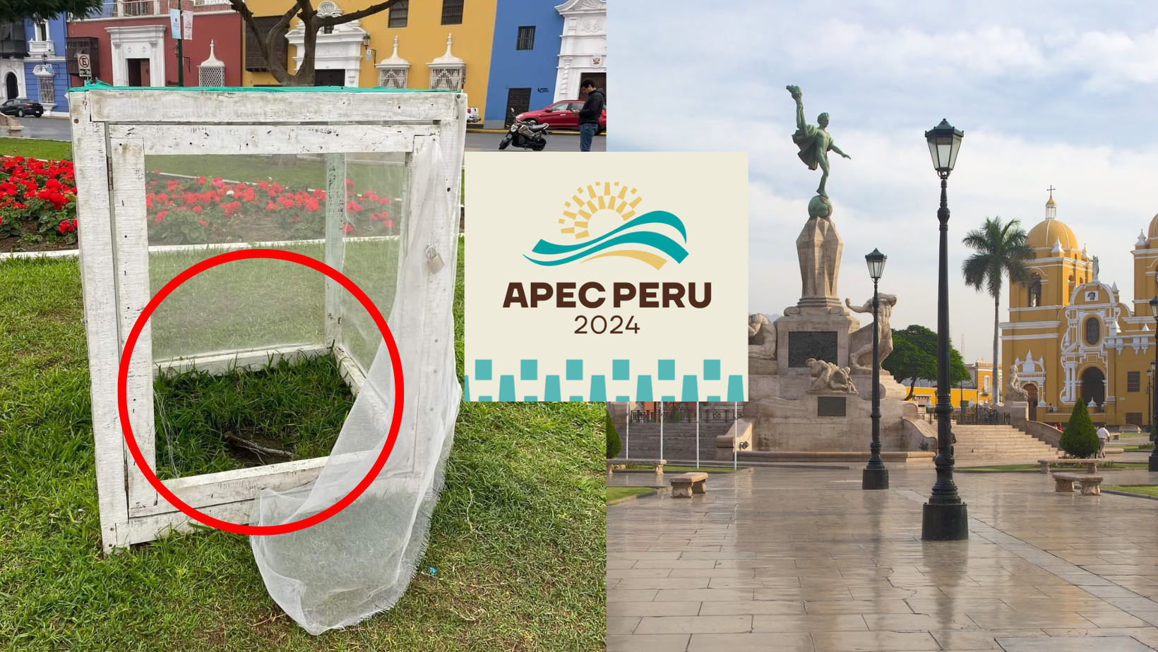 Trujillo: Destruyen árbol de la quina en el apertura del Foro APEC 2024
