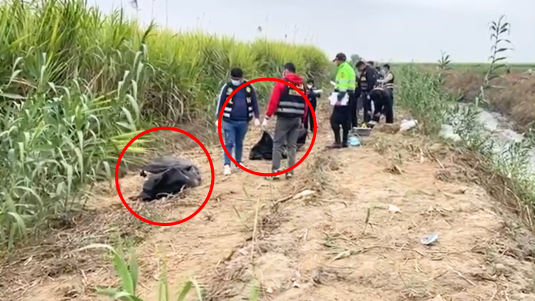 Trujillo: Hallan cuerpos en descomposición de dos extranjeros cerca a restaurante