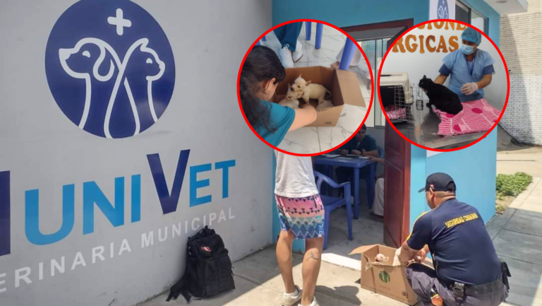 Trujillo: Atienden a más de 100 mascotas en veterinaria municipal