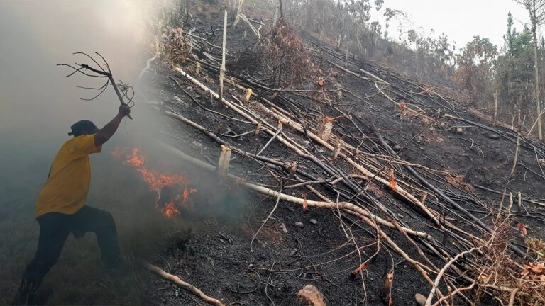 Vraem: 15 incendios forestales se registraron en menos de dos meses