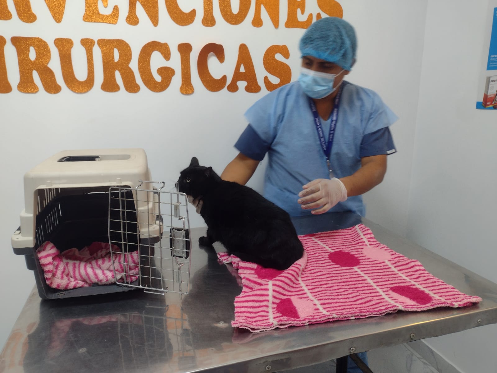Veterinaria municipal atendió más de 100 mascotas en Trujillo