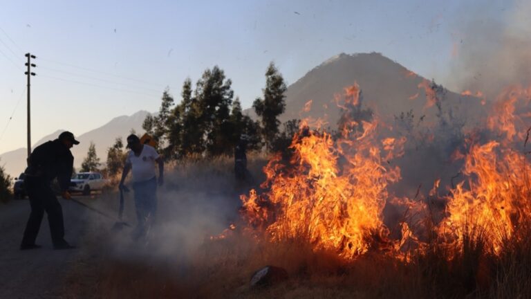 Incendios forestales en Arequipa: Agosto registra pico histórico con 22 emergencias y acumulado de 54 siniestros en el 2024