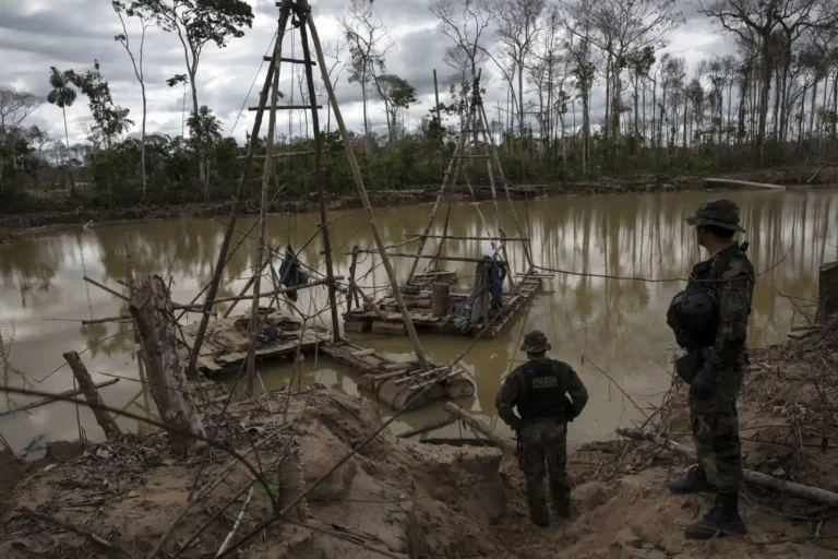 Perú podría reducir en un 70% la minería ilegal en cinco años, según la Cámara Minera de Chile