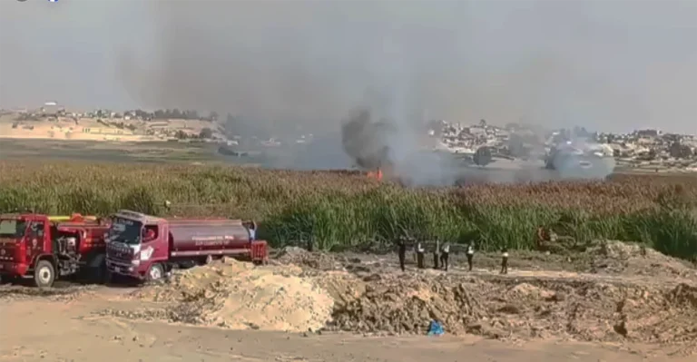 Ica: incendio forestal arrasa con 200 hectáreas de totora en Pisco