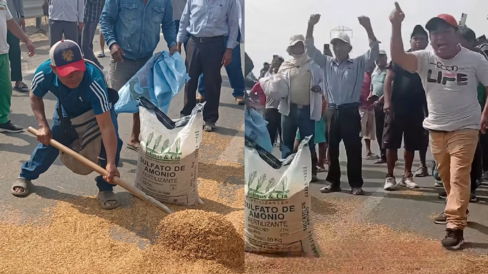 Productores arrojan toneladas de arroz a la carretera en Piura como protesta por colapso de precios