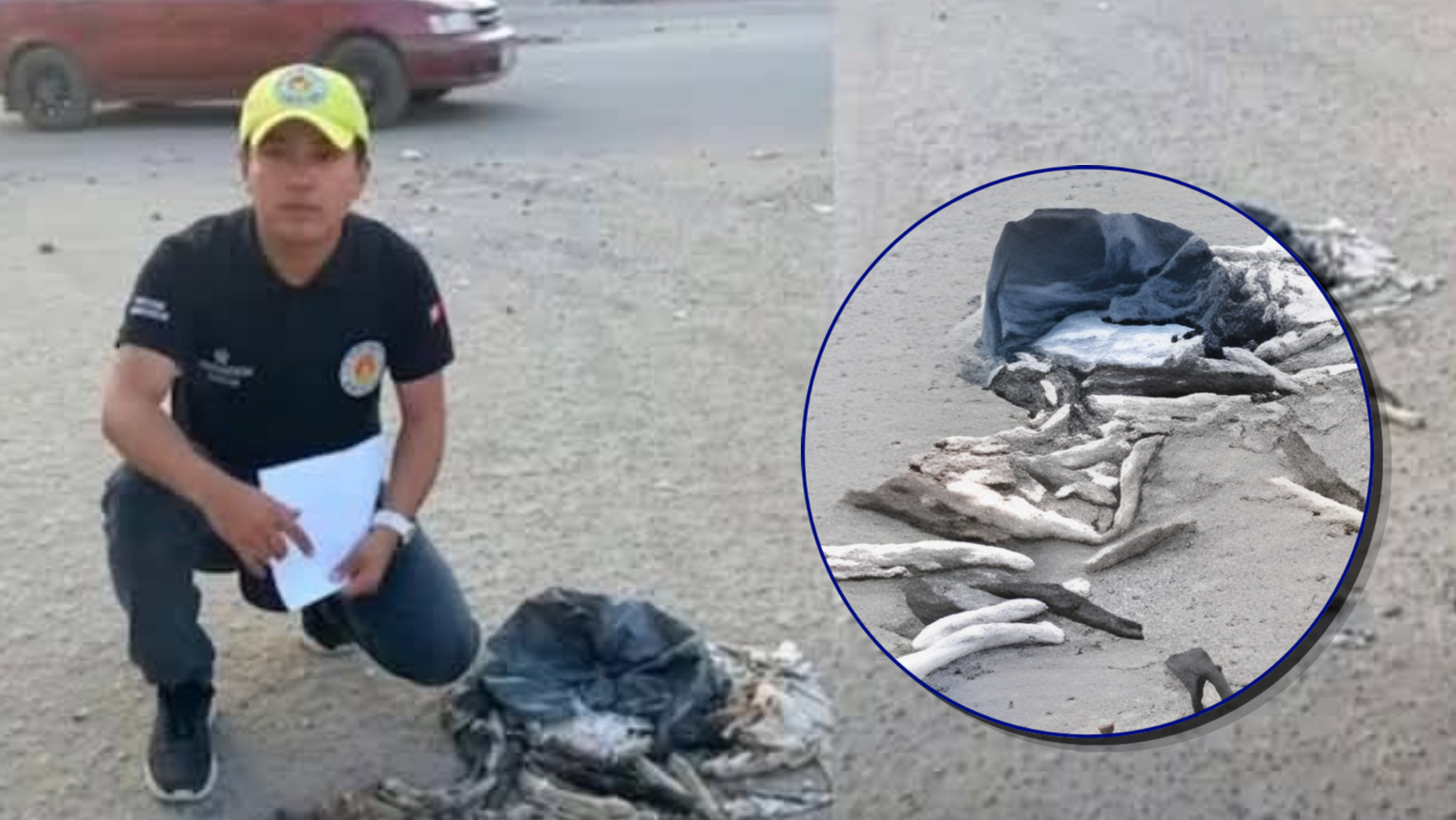 ¡Crueldad contra animales! Hallan 50 colas de gato en calle de Chiclayo