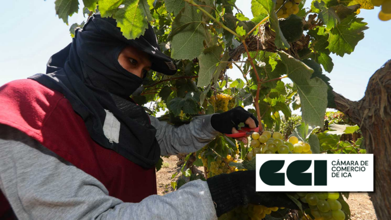 AGAP y la Cámara de Comercio de Ica suscriben alianza estratégica para promover el desarrollo agrario
