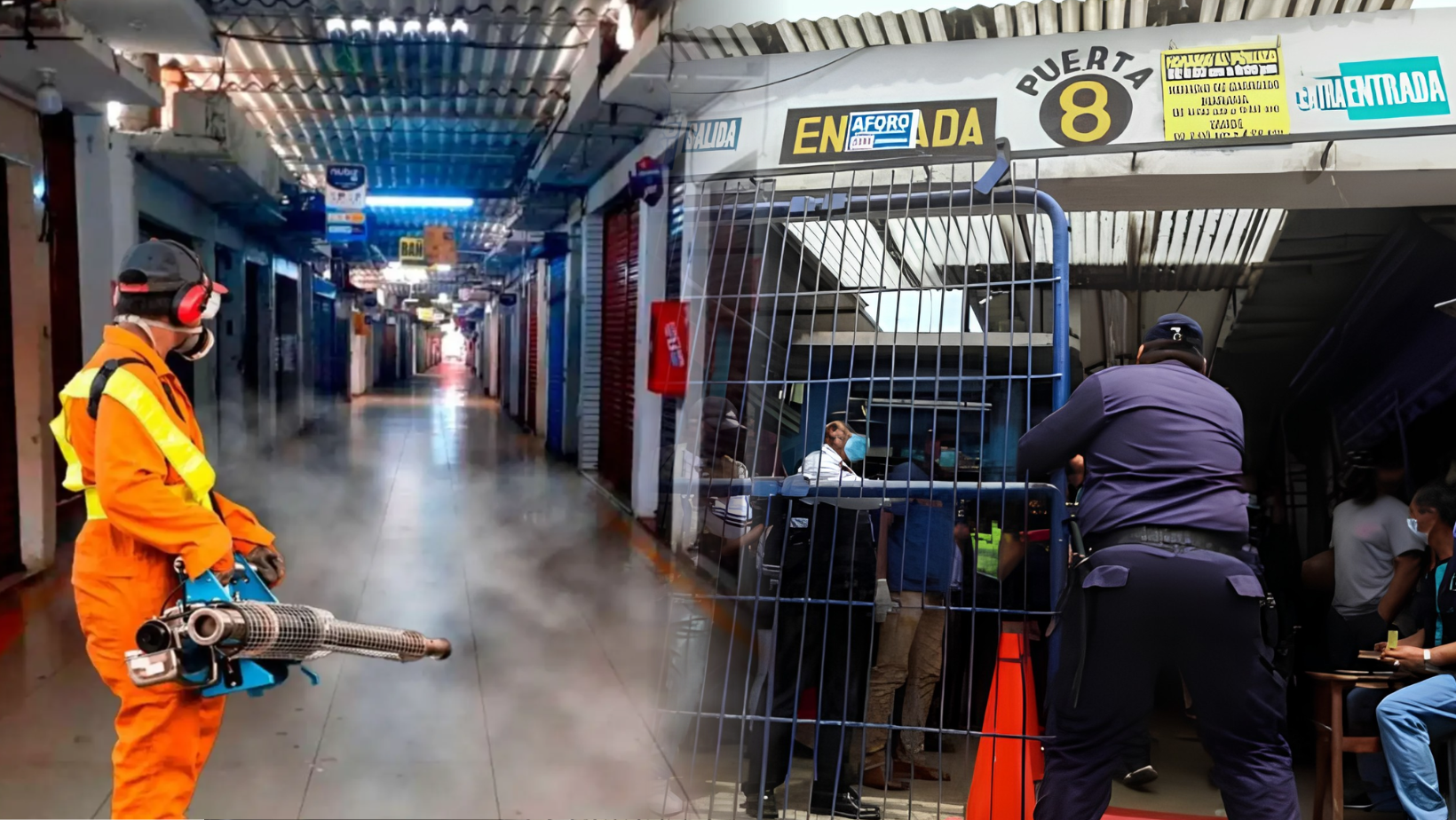 Mercado Mayorista cerrará el 5 de agosto por trabajos de fumigación