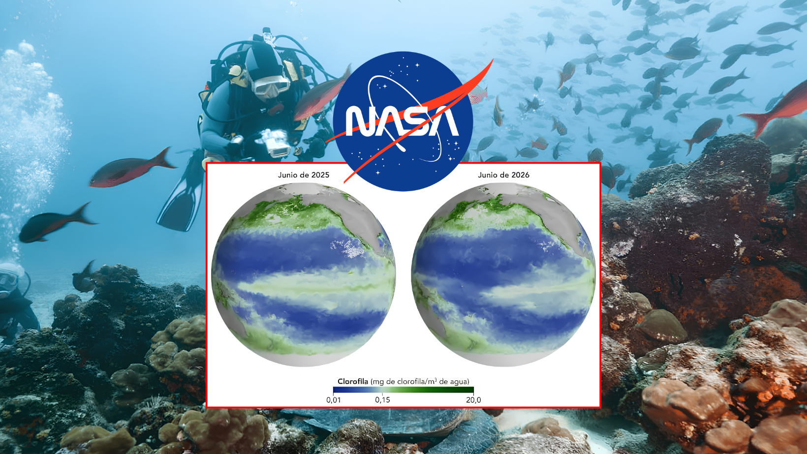 NASA detecta menos alimento en el mar tras llegada del Fenómeno El Niño