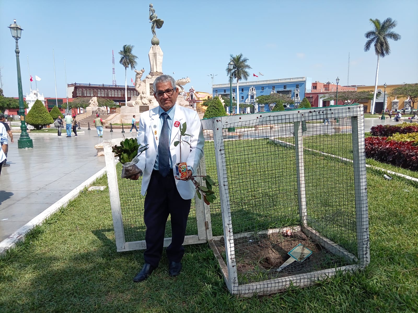 Plaza de armas de Trujillo tendrá 10 árboles de la quina