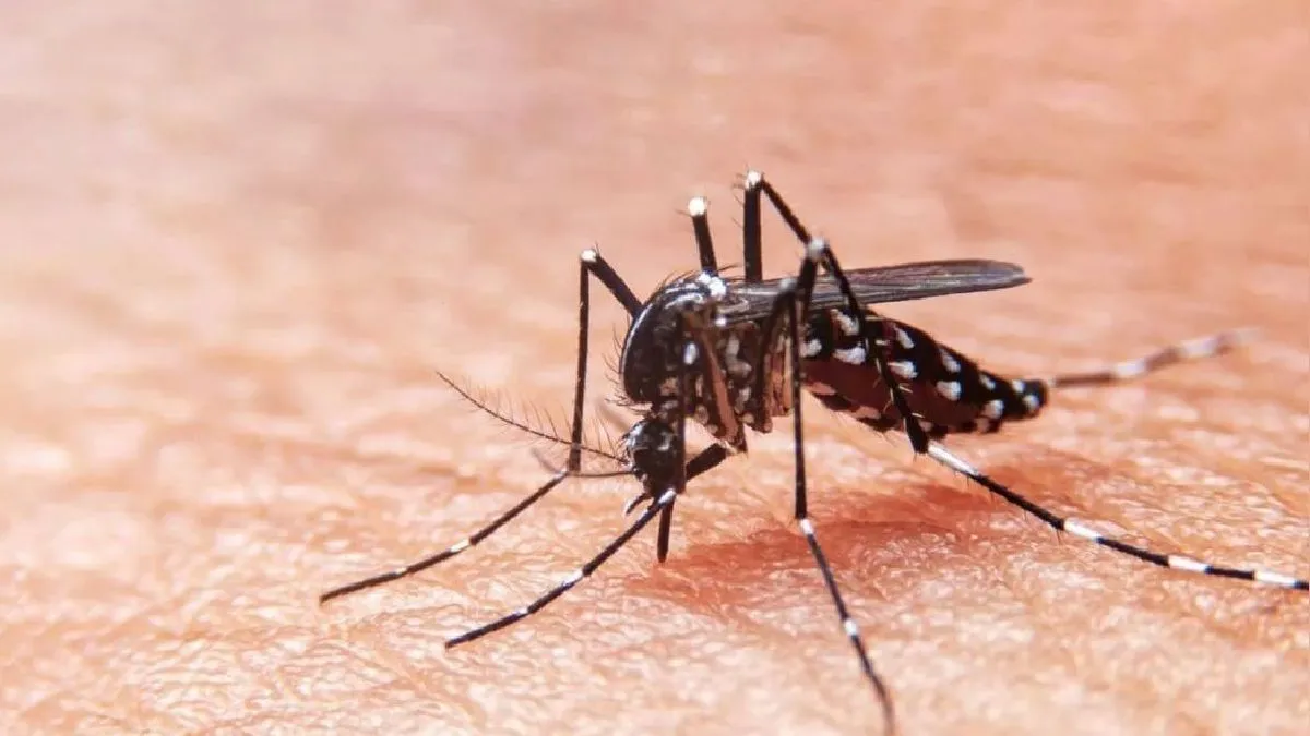 La Libertad sube al segundo lugar como la región con más casos de dengue en el pais