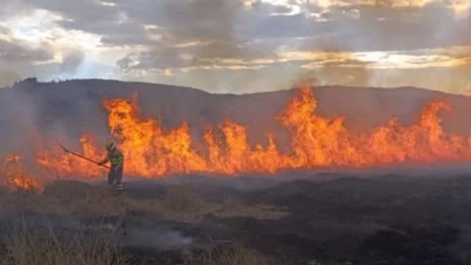 ¡Terrible! Incendio gigantesco arrasa totorales del lago Titicaca