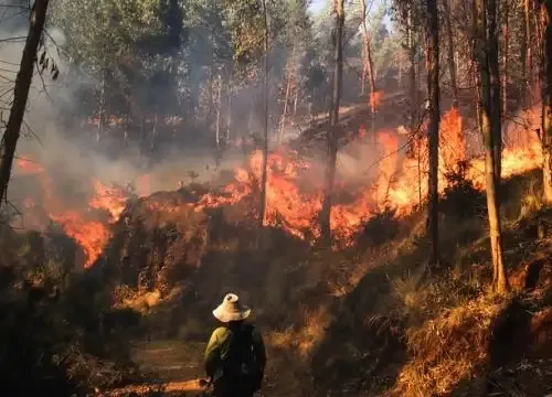 Incendios forestales en Cusco: muere adulto mayor y ya suman nueve decesos