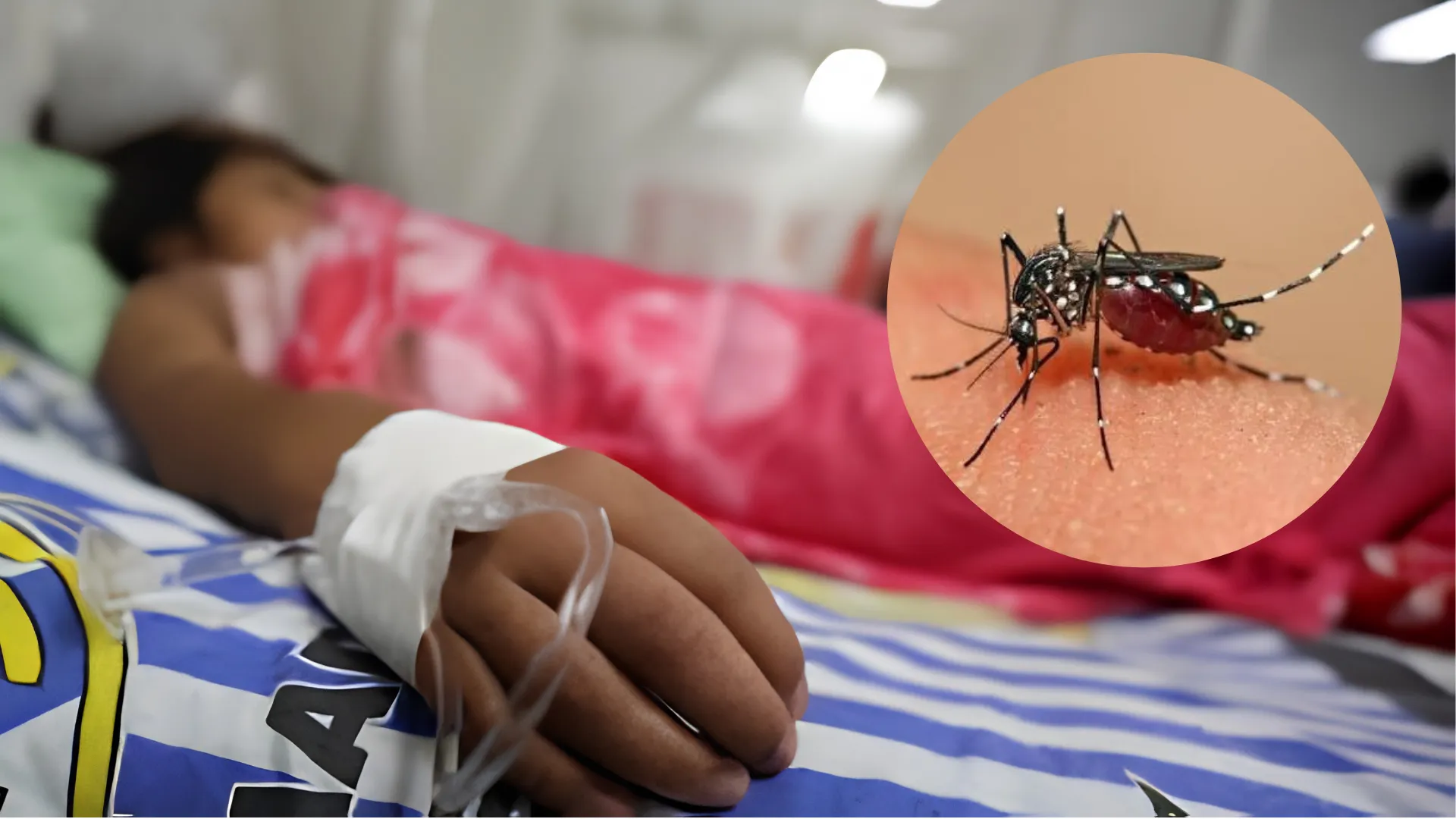 Niña de 4 años se convierte en la quinta víctima mortal por dengue en la región la libertad